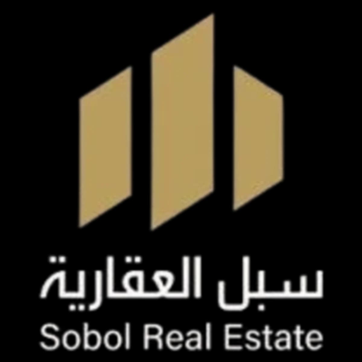 Sobol Real Estate logo